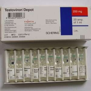 TESTOVIRON DEPOT 250mg INJECTION 1ml - ZYDUS CADILA online muscle store