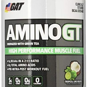 GAT AMINO GT ENERGIZED WITH GREEN TEA 91gm HIGH PERFORMANCE MUSCLE FUEL 91gm - GAT SPORT www.oms99.in