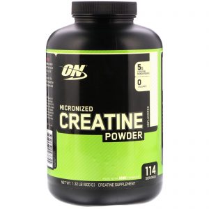 ON MICRONIZED CREATINE POWDER 600gm - OPTIMUM NUTRITION www.oms99.in